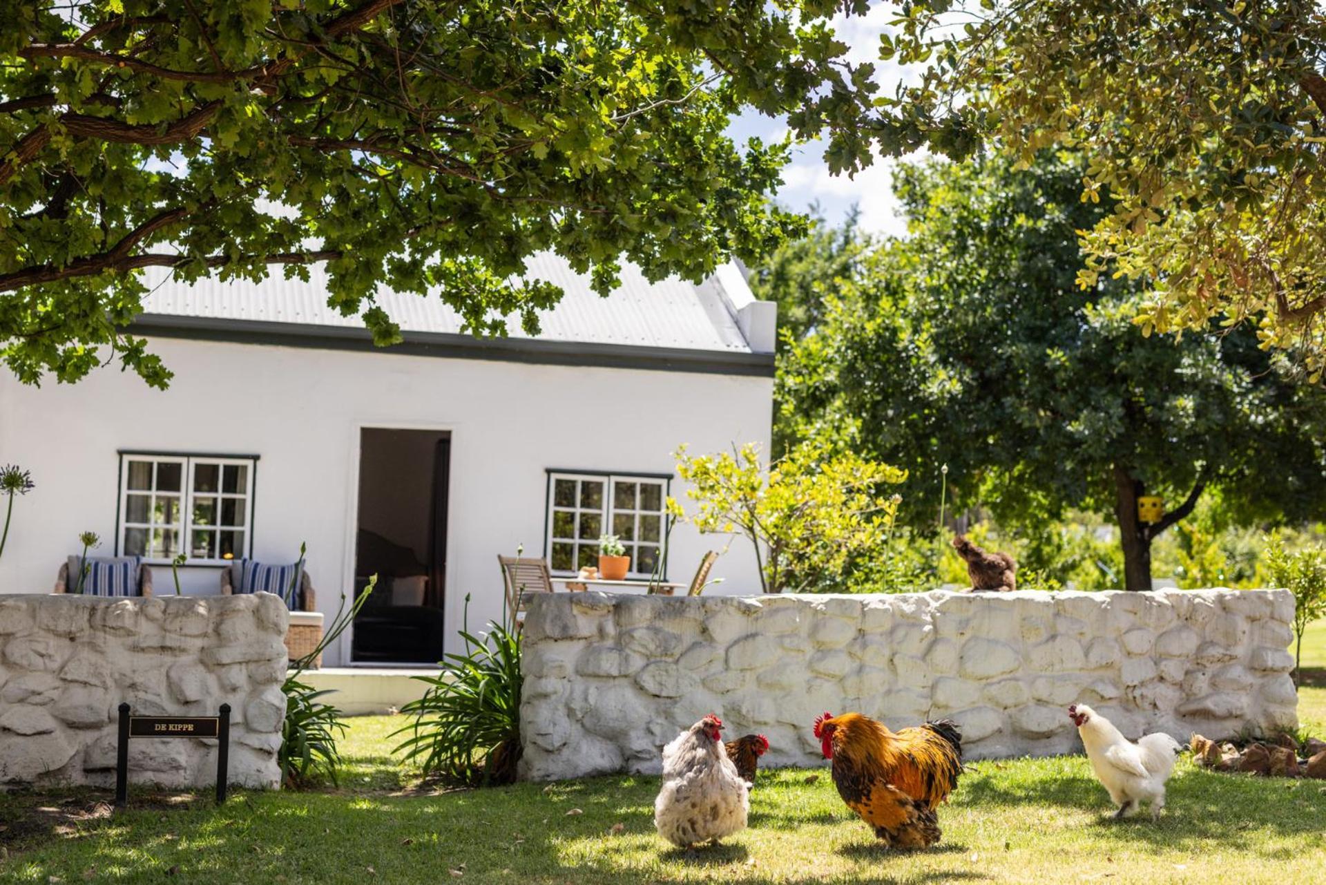 Ferienwohnung Eikehof Farm Worcester Exterior foto
