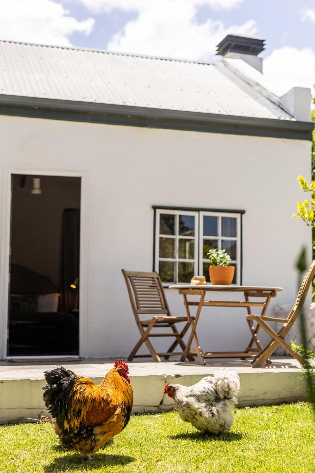 Ferienwohnung Eikehof Farm Worcester Exterior foto